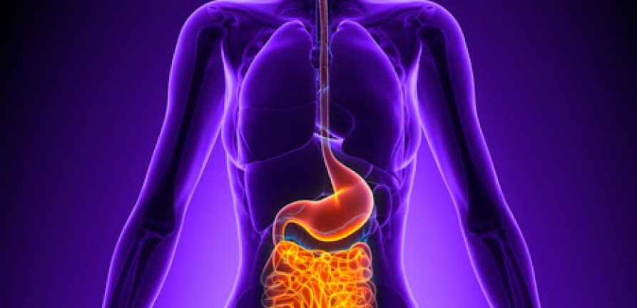 Maio Roxo: conscientização destaca relação das doenças inflamatórias intestinais com Covid-19